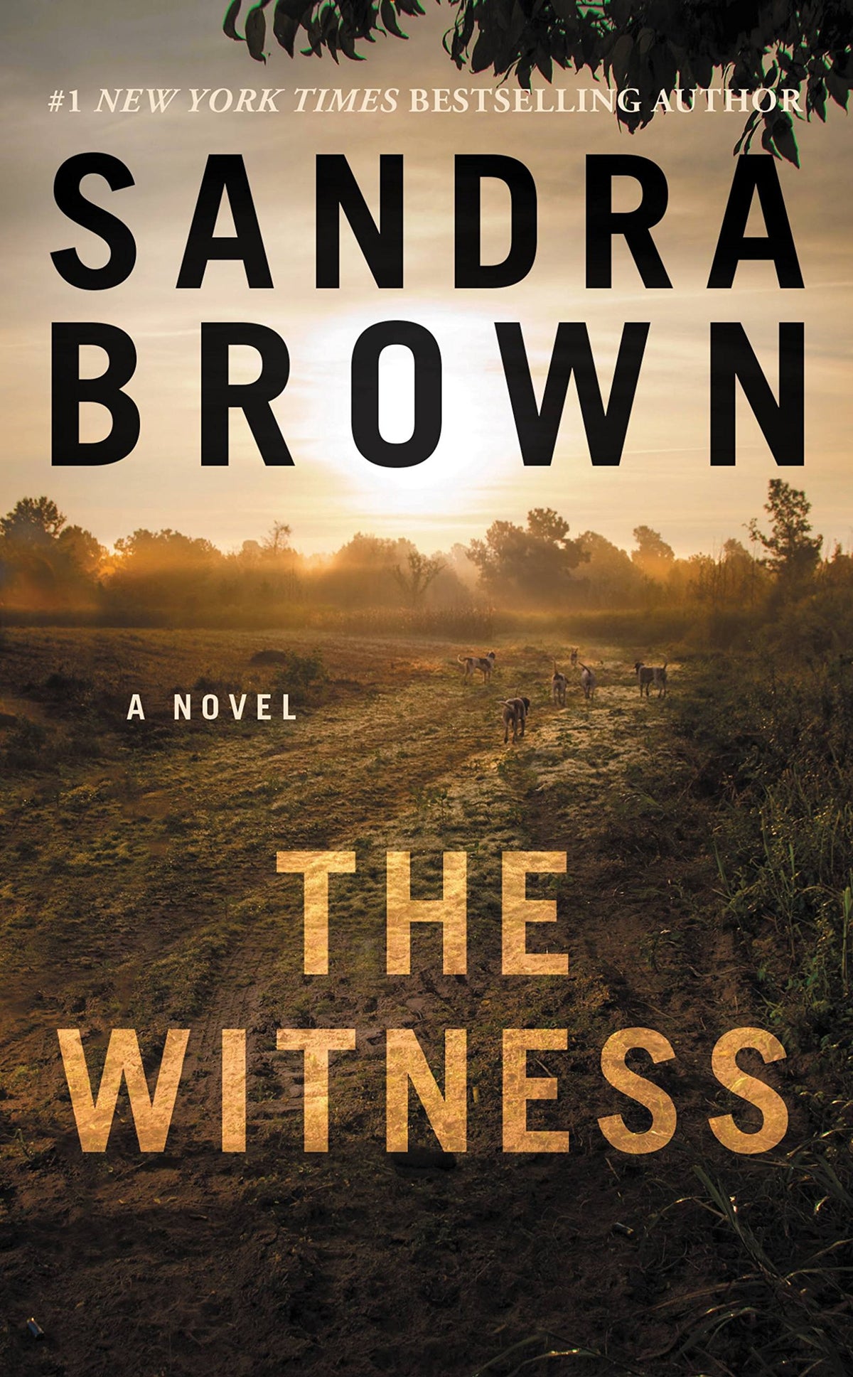 The Witness by Sandra Brown