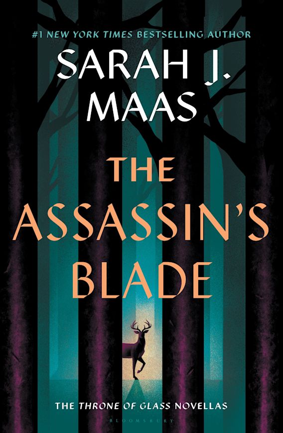 The Assassin’s Blade by Sarah J. Maas